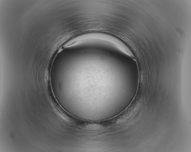 X0000113140397200909181734