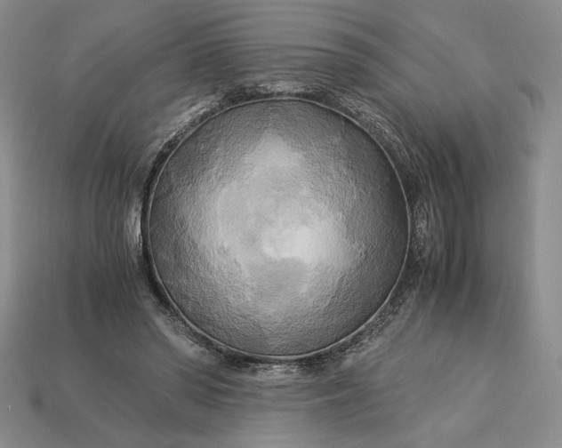 X0000113140398200909181734