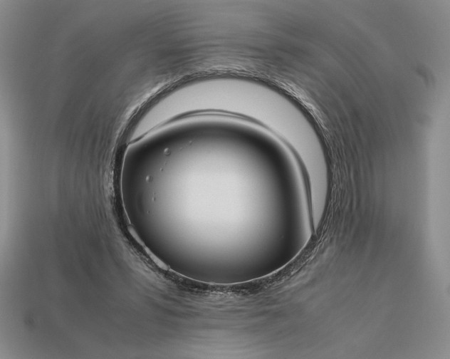 X0000113140399200909181734