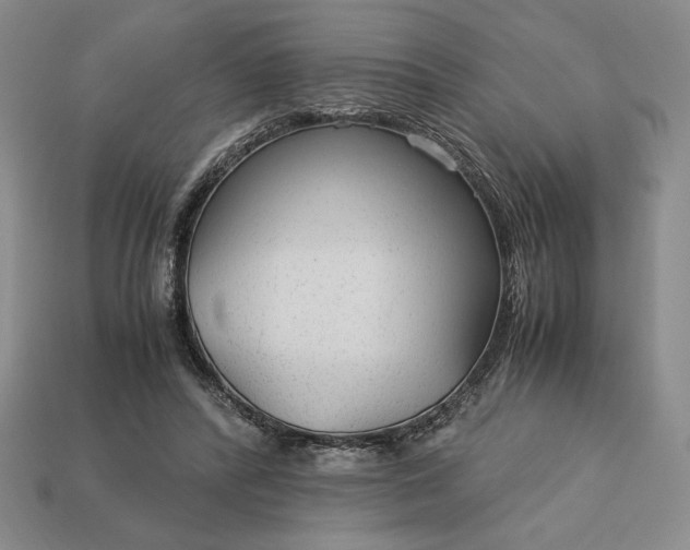 X0000113140400200909181734