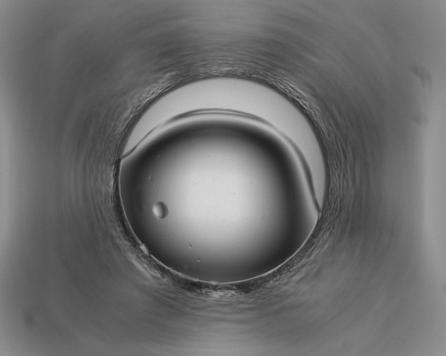 X0000113140401200909181734