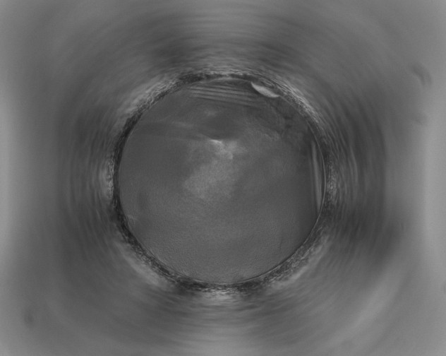 X0000113140402200909181734