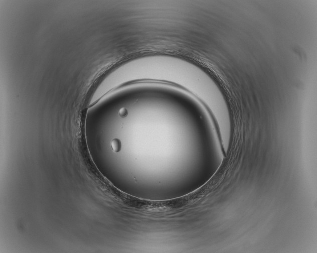 X0000113140403200909181734