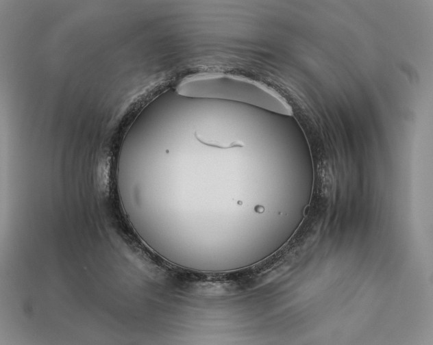 X0000113140404200909181734