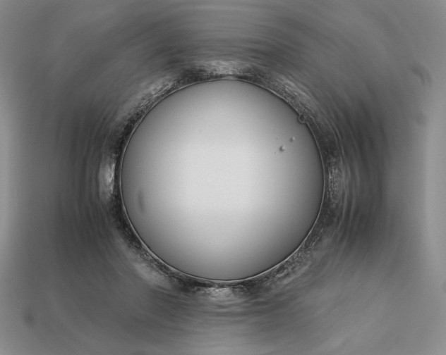 X0000113140406200909181734