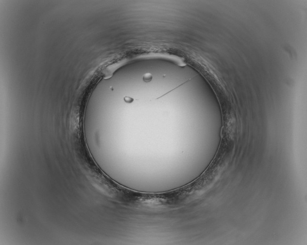 X0000113140407200909181734