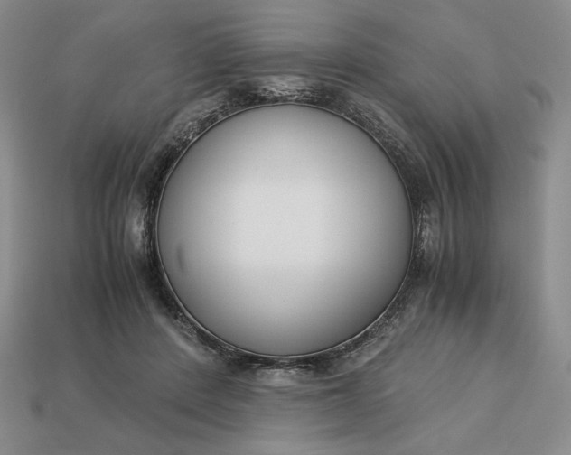 X0000113140408200909181734