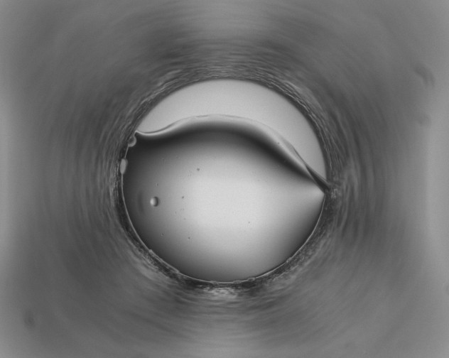 X0000113140409200909181734