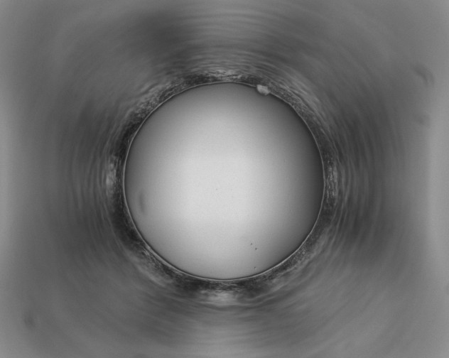 X0000113140412200909181734