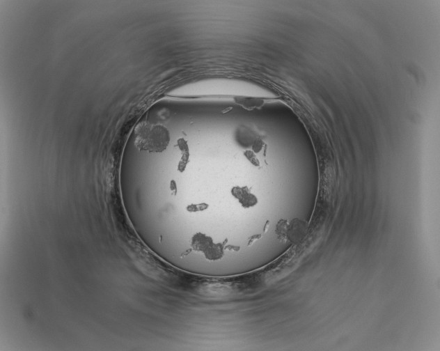 X0000113140413200909181734