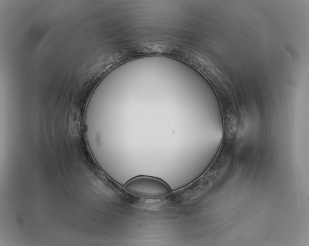 X0000113140414200909181734