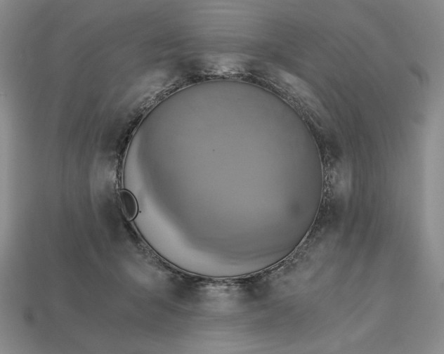 X0000113140415200909181734