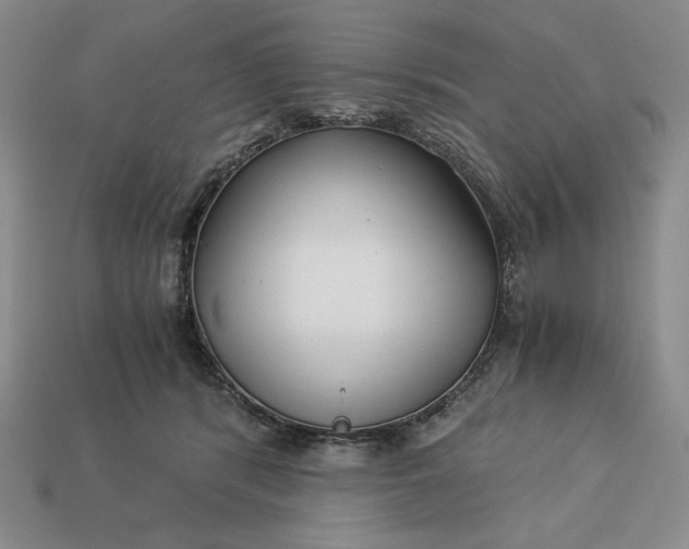 X0000113140416200909181734