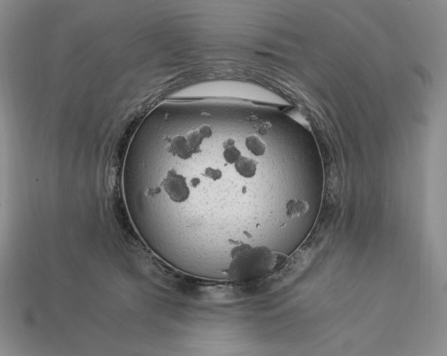 X0000113140417200909181734