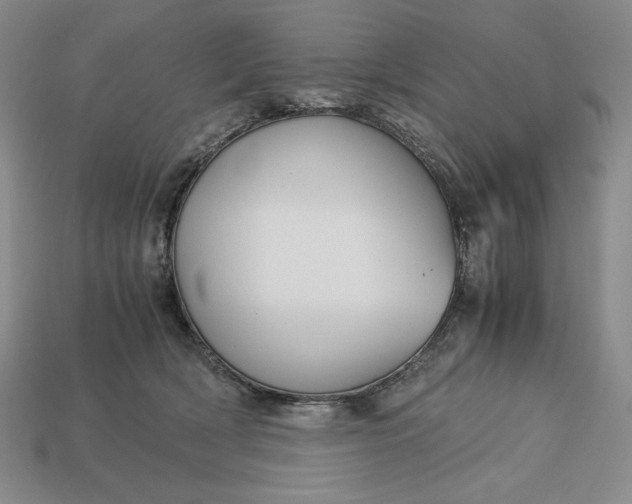 X0000113140418200909181734