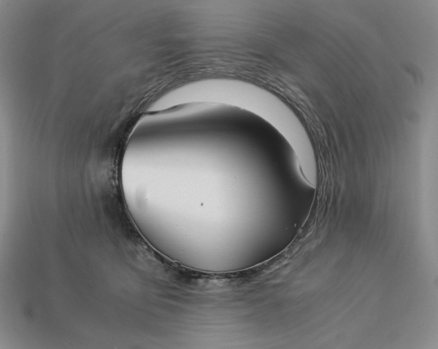 X0000113140419200909181734