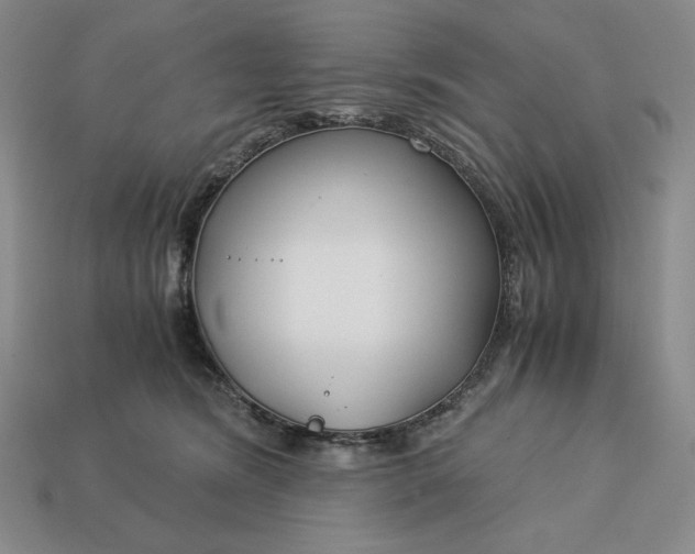 X0000113140420200909181734