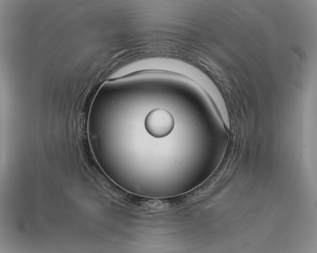 X0000113140421200909181734