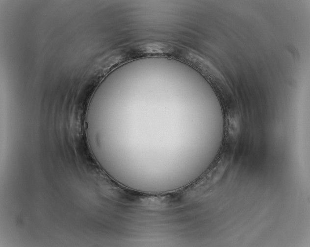 X0000113140422200909181734