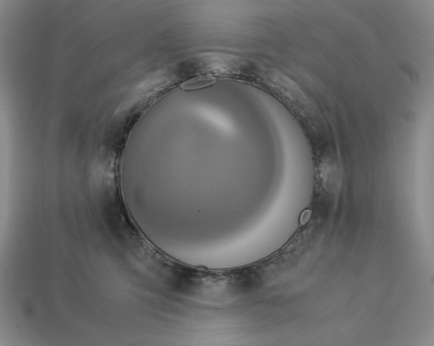 X0000113140423200909181734