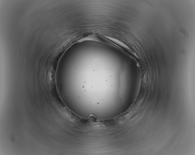 X0000113140424200909181734