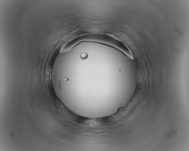 X0000113140425200909181734