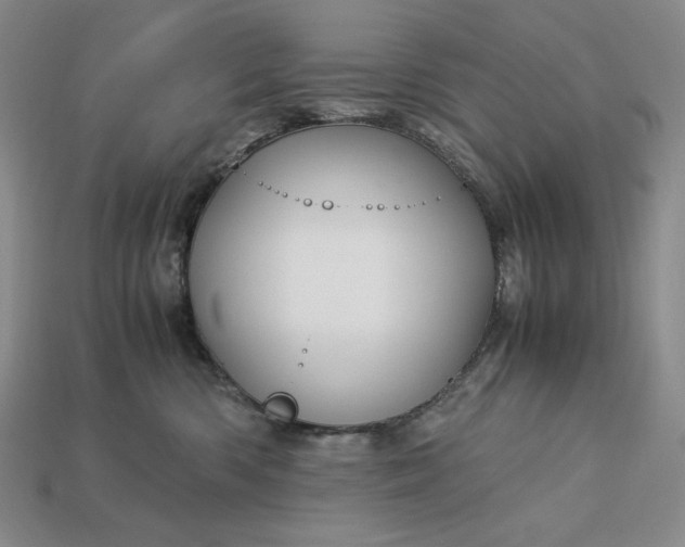 X0000113140426200909181734