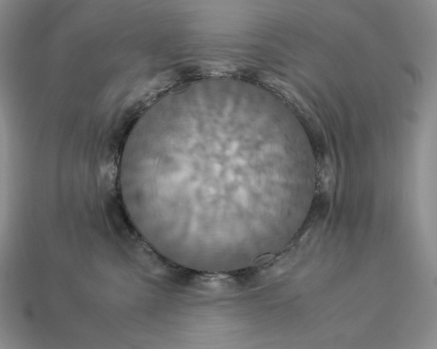 X0000113140427200909181734