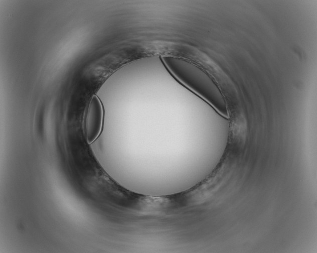 X0000113140429200909181733