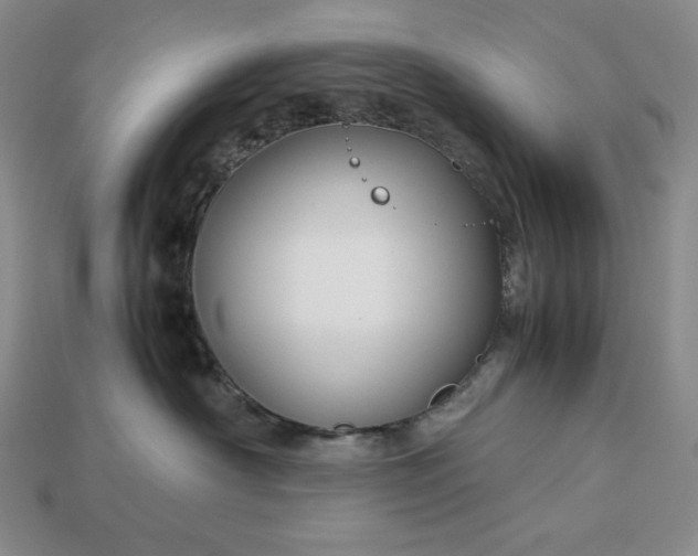 X0000113140430200909181733