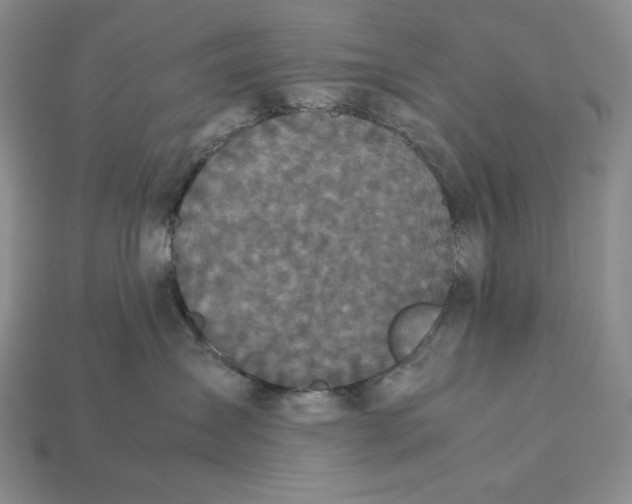 X0000113140431200909181733