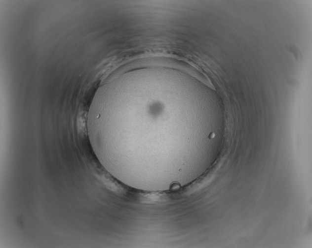 X0000113140432200909181733