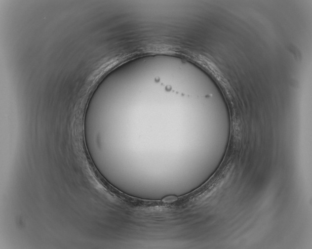 X0000113140433200909181733