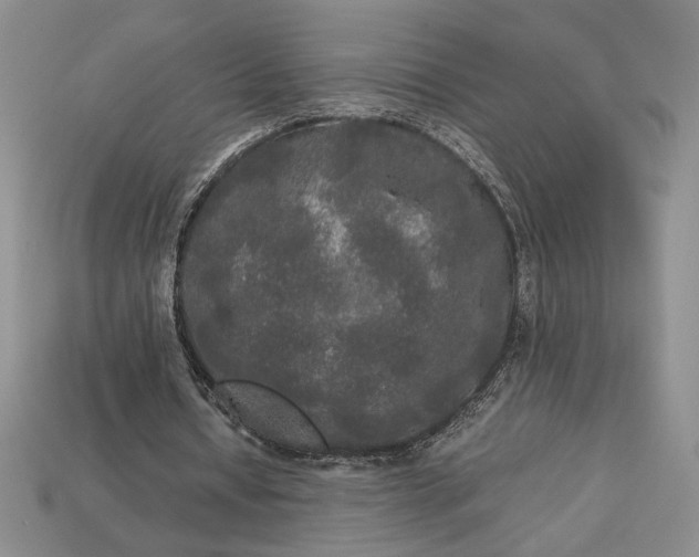 X0000113140434200909181733