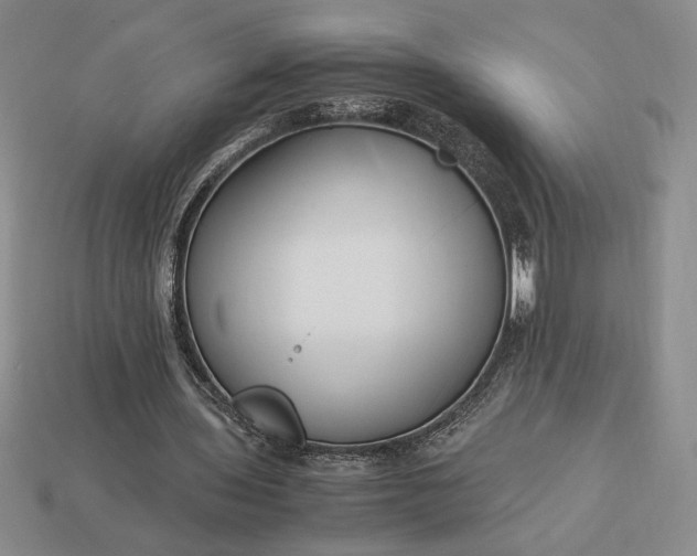 X0000113140435200909181733