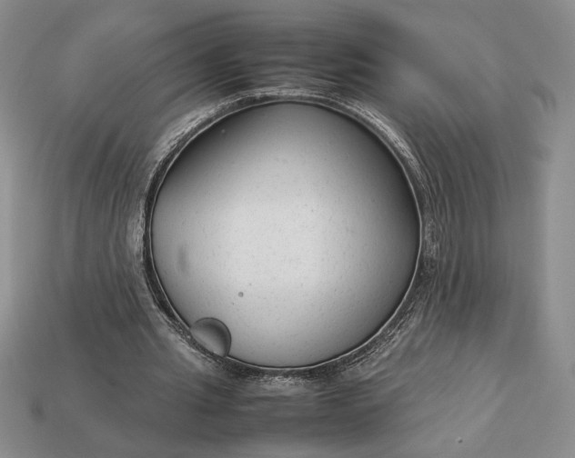 X0000113140437200909181733