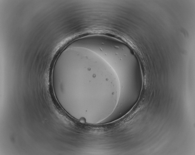 X0000113140438200909181733