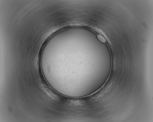 X0000113140439200909181733