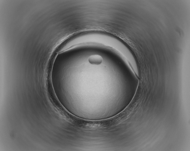 X0000113140440200909181733