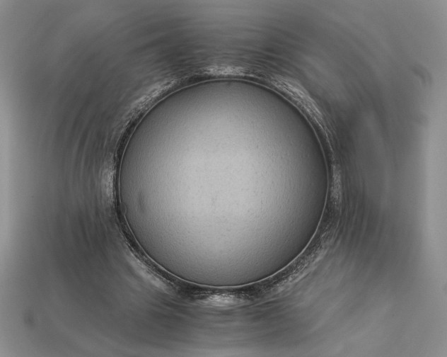 X0000113140441200909181733