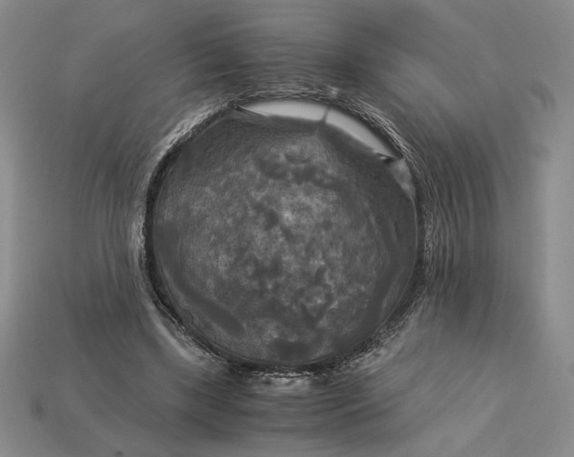 X0000113140443200909181733