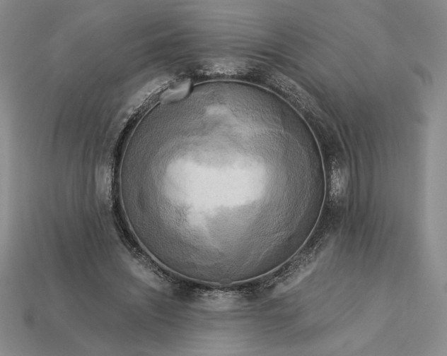 X0000113140444200909181733