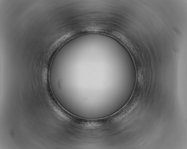 X0000113140445200909181733