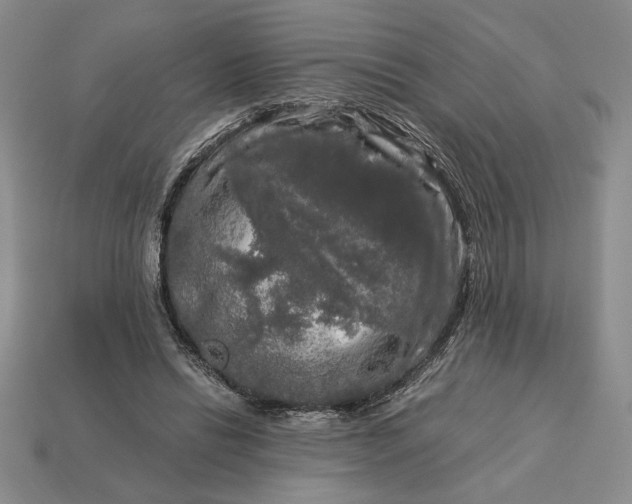 X0000113140446200909181733