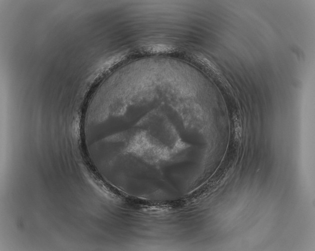 X0000113140447200909181733