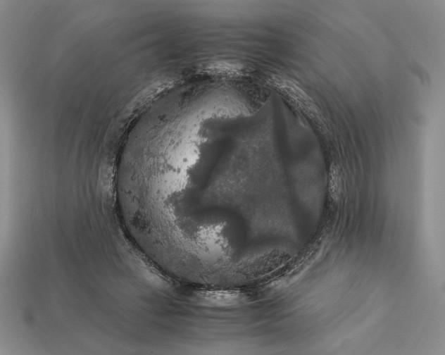 X0000113140449200909181733