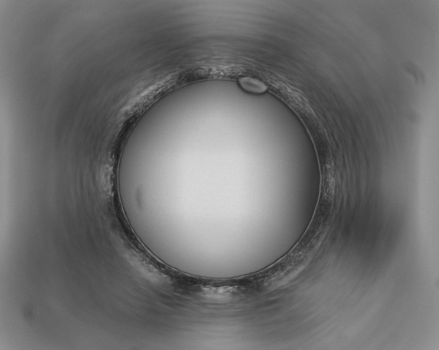 X0000113140450200909181733