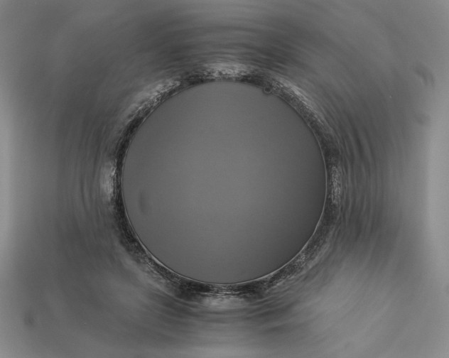 X0000113140451200909181733