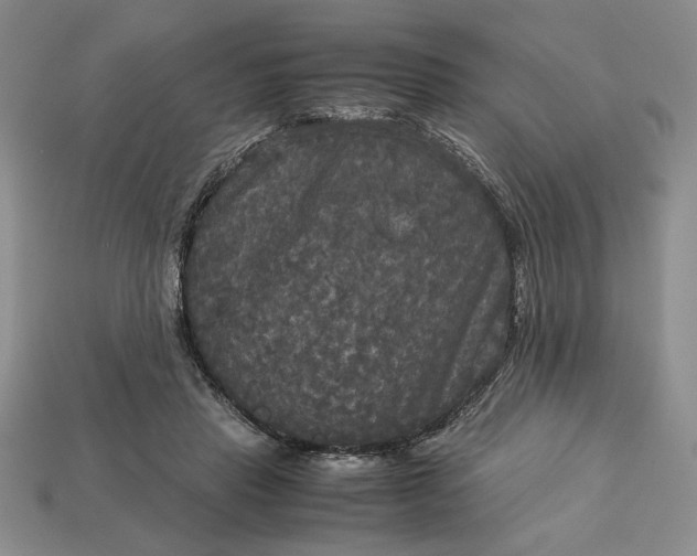 X0000113140453200909181733