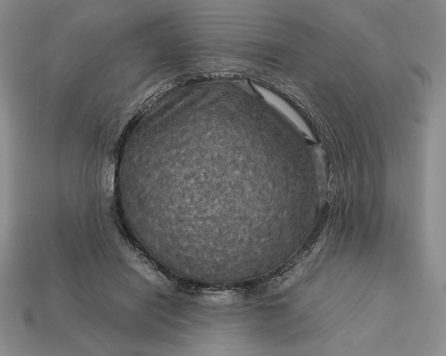 X0000113140454200909181733